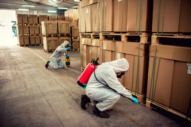 Best Termite Control Services  in Exeter, CA