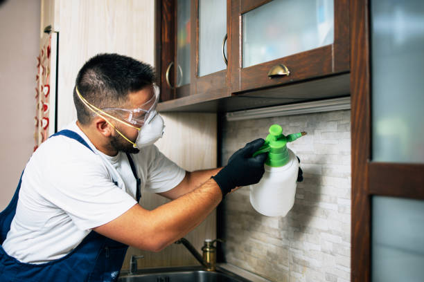 Best Flea Control Services  in Exeter, CA