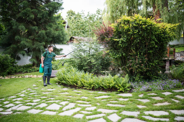 Best Wasp Removal Services  in Exeter, CA