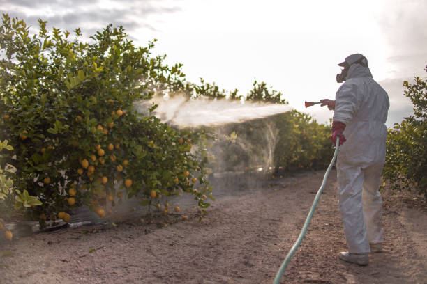 Best Insect Control  in Exeter, CA