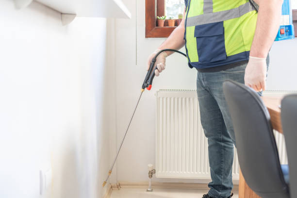 Wasp Removal Services in Exeter, CA