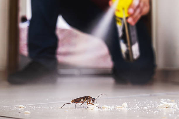 Professional Pest Control in Exeter, CA