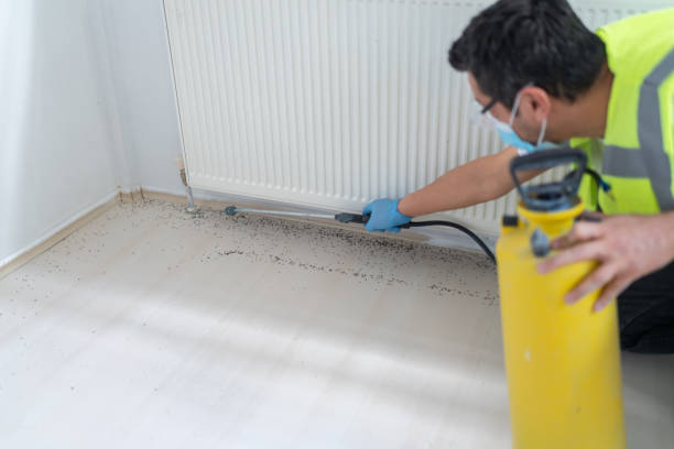 Best Ant Control Services  in Exeter, CA